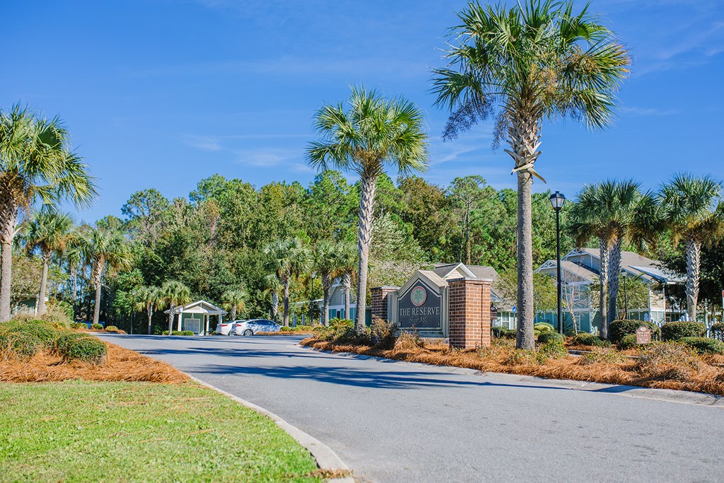 the preserve at ballantyne commons apartments street view and palm trees