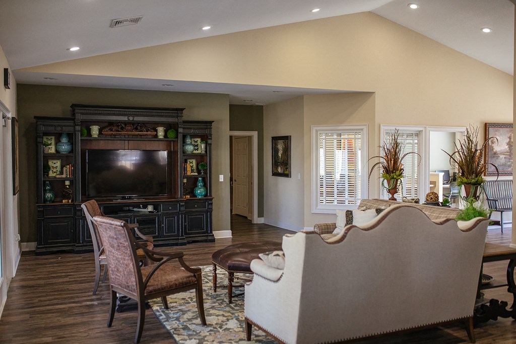 a living room with a couch and a television