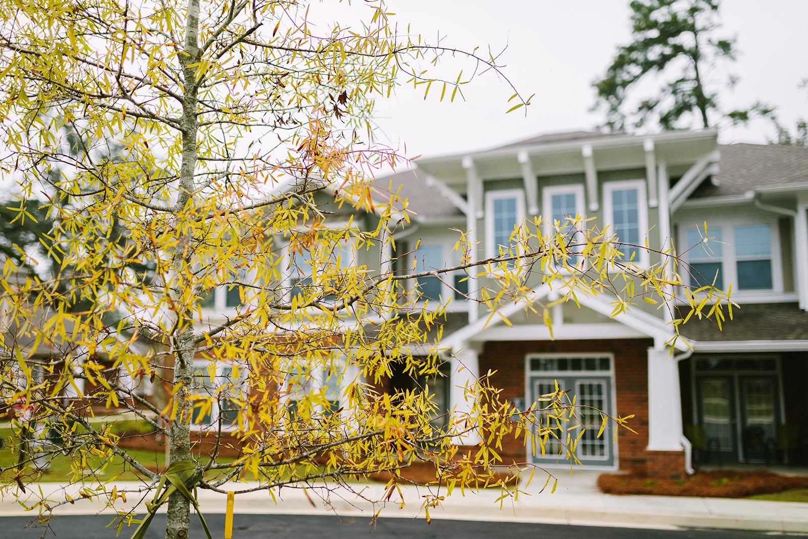 Photos and Video of Market Station Apartments in Thomasville, GA