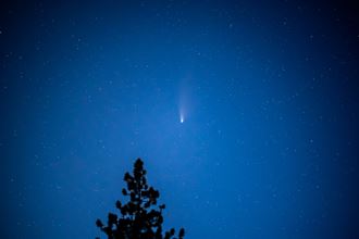 a meteor in the sky over a tree