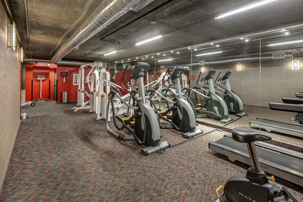 a gym with a lot of exercise equipment
