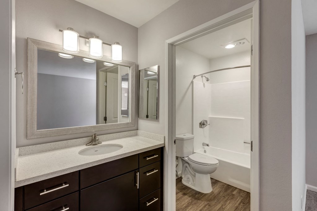 a bathroom with a mirror and a toilet and a shower