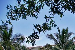 Cheap Apartments For Rent In Boynton Beach Cheap Apartments For Rent In Boynton Beach