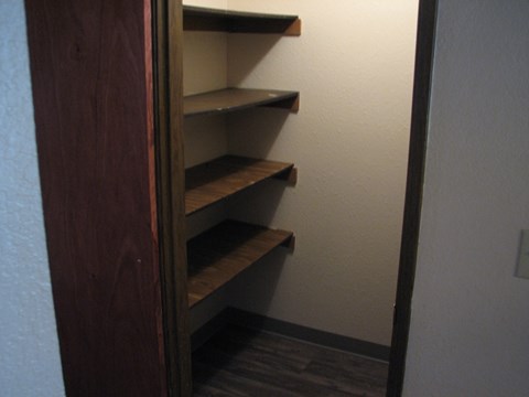 A small closet with shelves and a door.