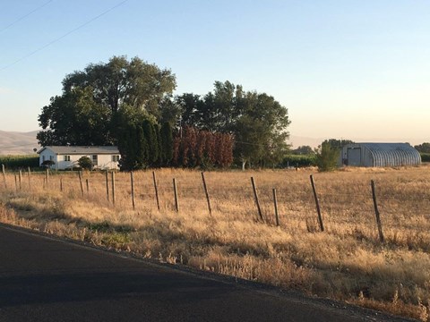 A house is situated in a field with a fence running along the roadside.