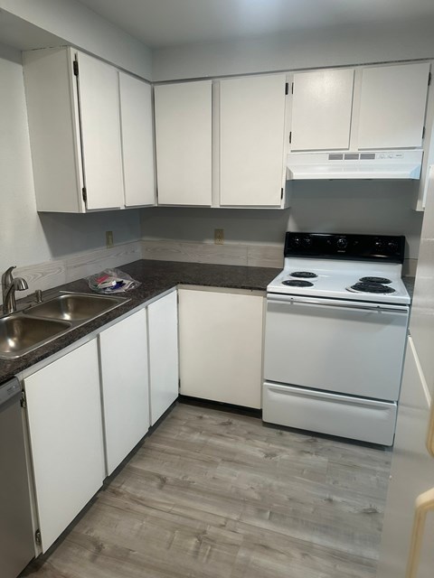 1520 W. Clark Street 1-2 Beds Apartment for Rent - Photo Gallery 6