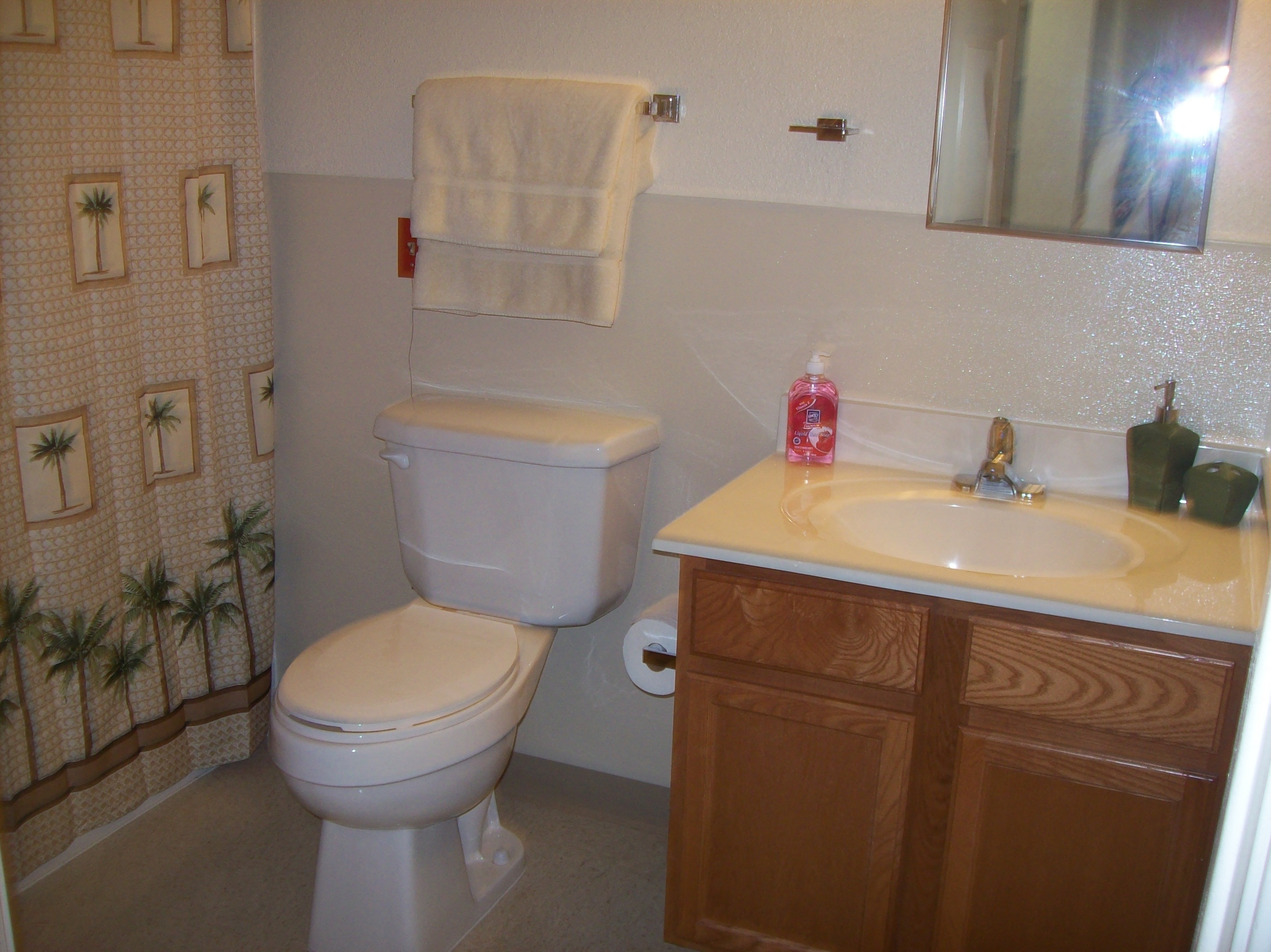 Courtwood Apartments bathroom, McNair, Texas