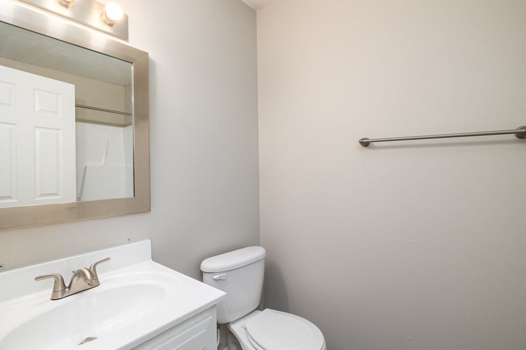 a bathroom with a sink and a toilet and a mirror