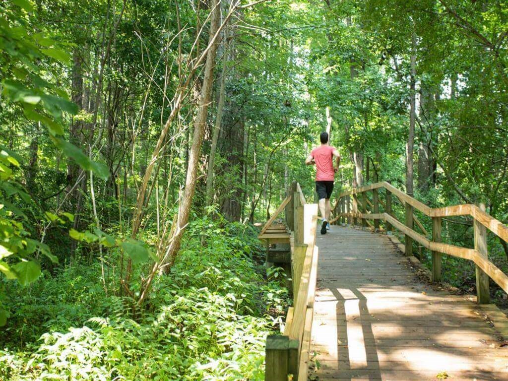 a man running down a wooden bridge in the woods