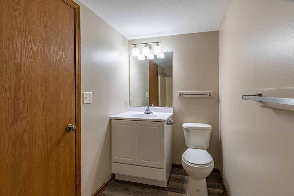 a bathroom with a toilet and a sink and a mirror