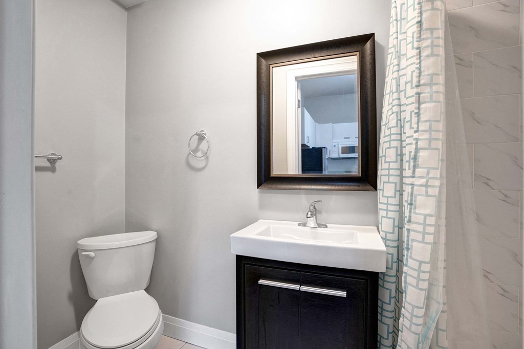 a bathroom with a toilet and a sink and a mirror