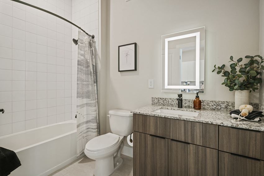 Model Bathroom Model Bathroom - Photo Gallery