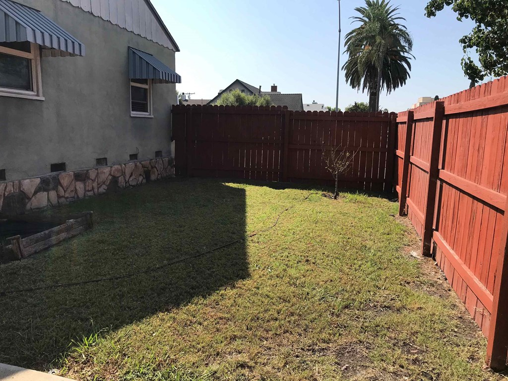 a backyard with a fence and a palm tree