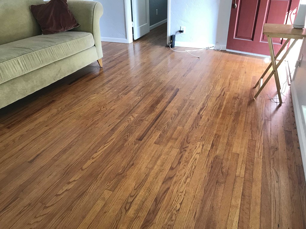a living room with a hard wood floor and a couch