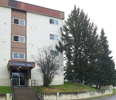 a building with stairs and a tree in front of it