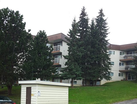 the building where the apartment is located