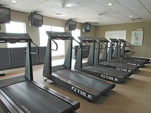 a row of treadmills in a fitness room