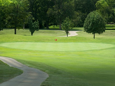 a golf course with a flag on the green