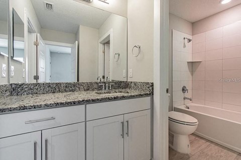 a bathroom with a sink and a toilet and a mirror