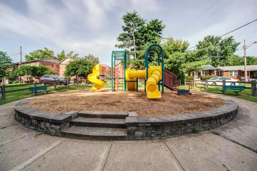 a playground with two yellow slides in a park