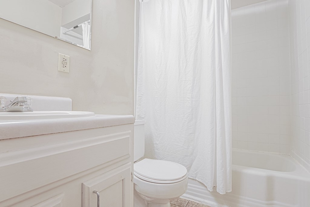 a bathroom with a sink and a toilet and a shower