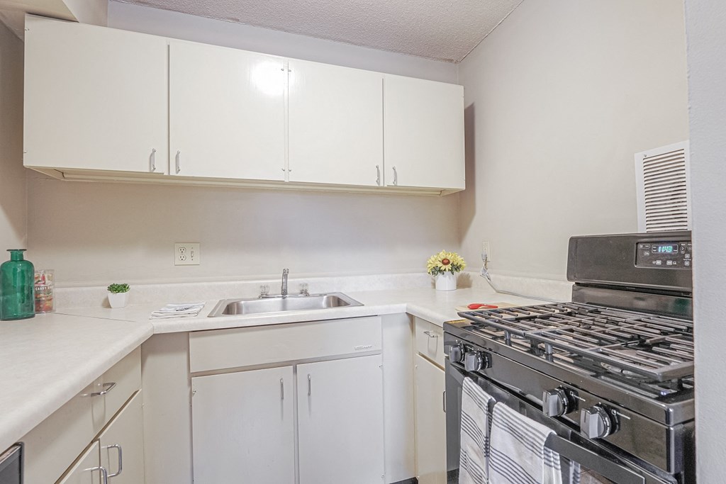 the preserve at ballantyne commons apartment kitchen with stove and sink