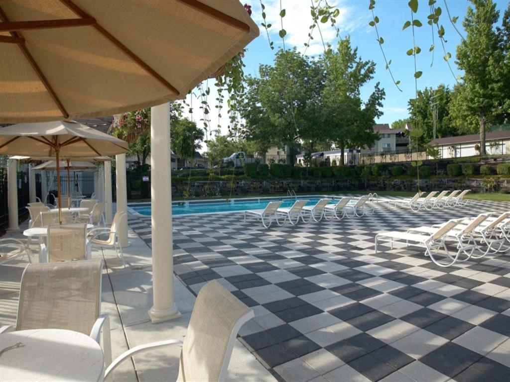 the swimming pool at our hotel