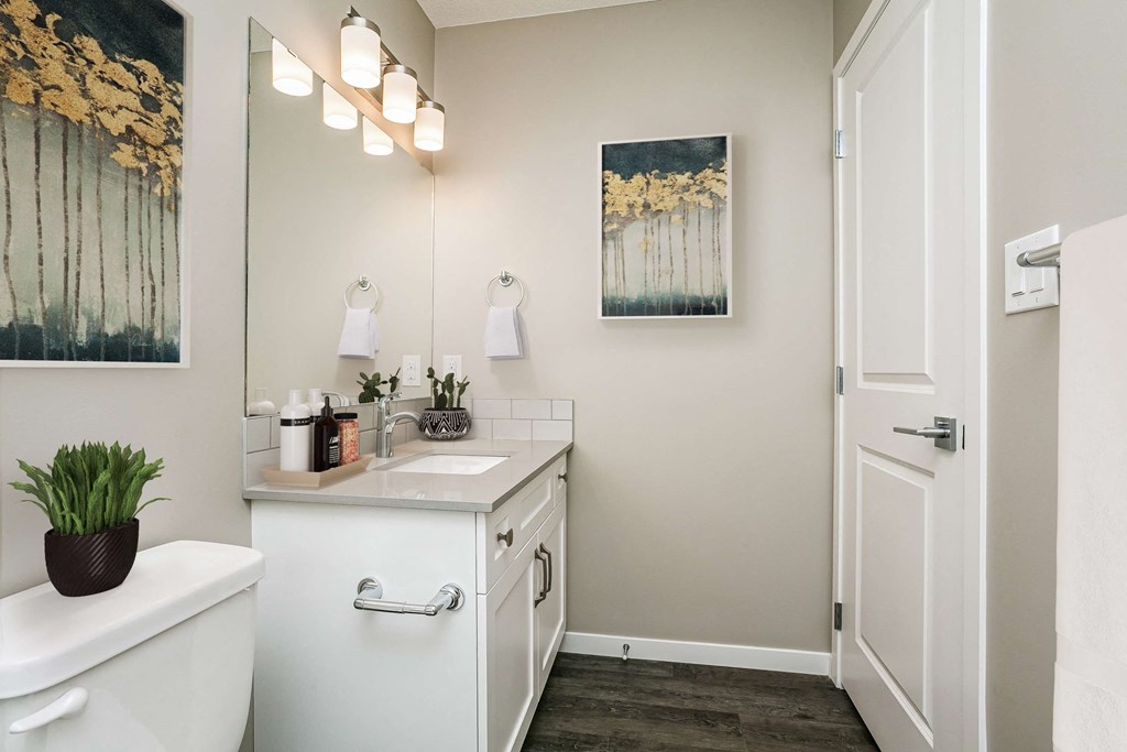 a bathroom with a sink and a toilet and a mirror