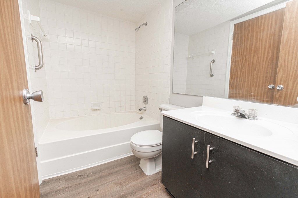 a bathroom with a sink and a toilet and a bath tub
