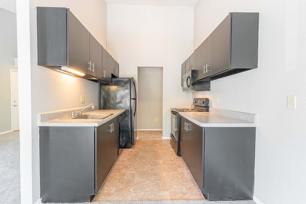 a kitchen with stainless steel appliances and black cabinets