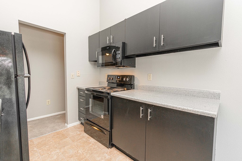 a kitchen with stainless steel appliances and black cabinets