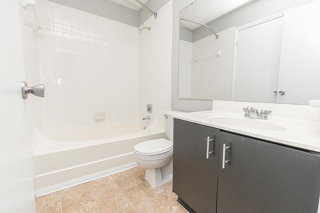 a bathroom with a sink and a toilet and a bath tub