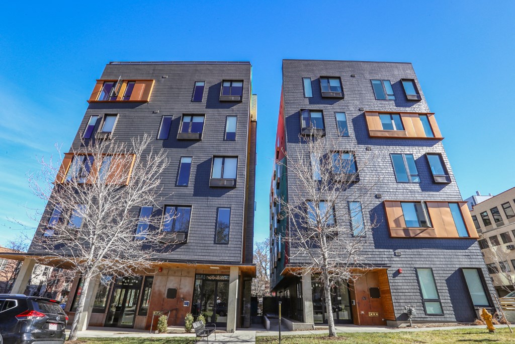two tall buildings on a city street with bare trees