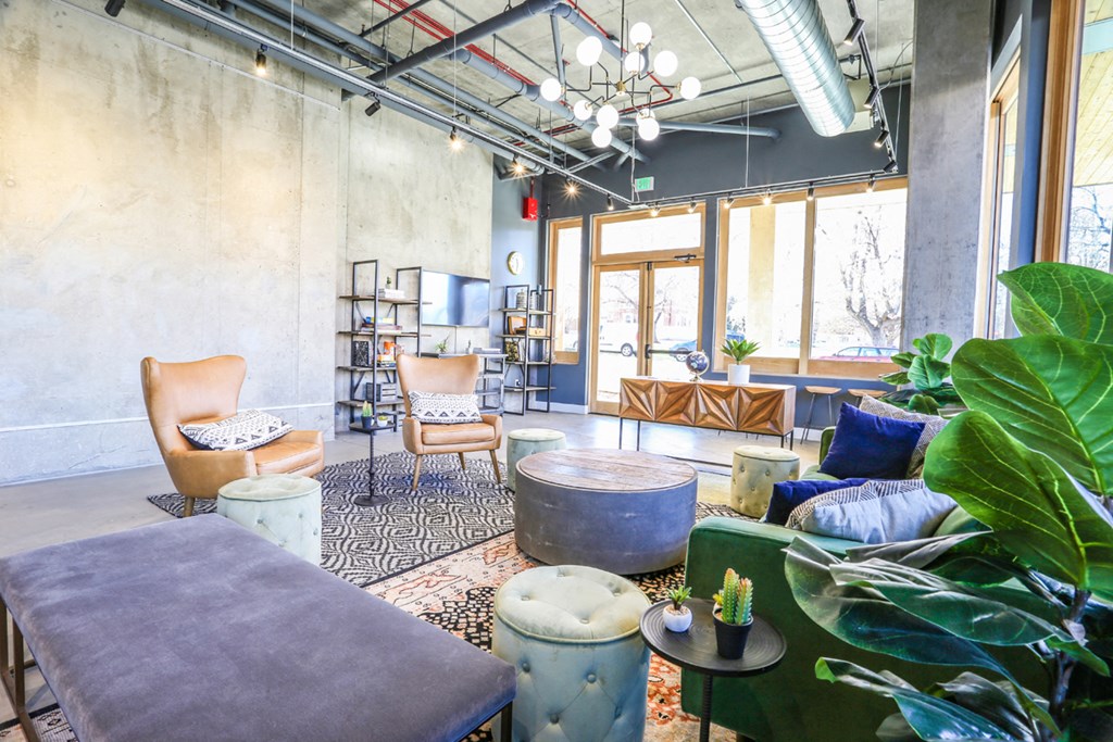 a living room with couches and chairs and a large plant