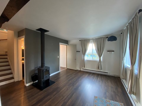 A wood stove is in a living room with a blue rug.