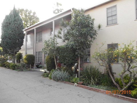 A house with a driveway and trees in front of it.