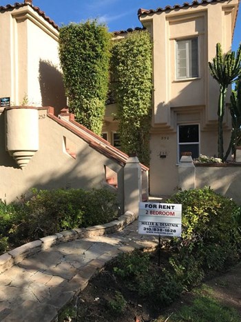 250-256 Clark Drive 1-3 Beds Apartment for Rent