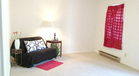 A living room with a black couch and a red rug.