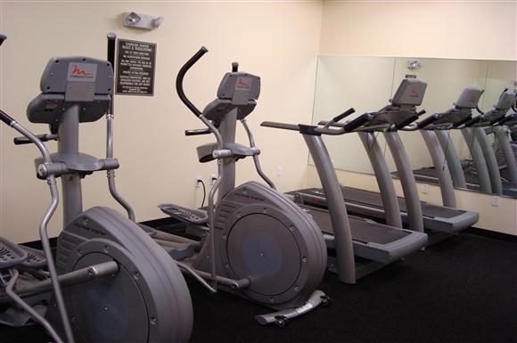 a row of exercise bikes in a gym