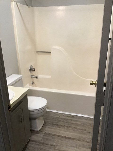 A white toilet sits next to a bathtub in a bathroom.