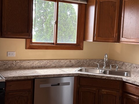 A kitchen with a dishwasher and a double sink.