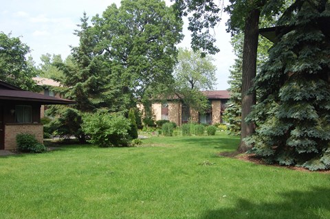 the yard in front of our house