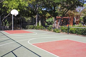a basketball court in a park