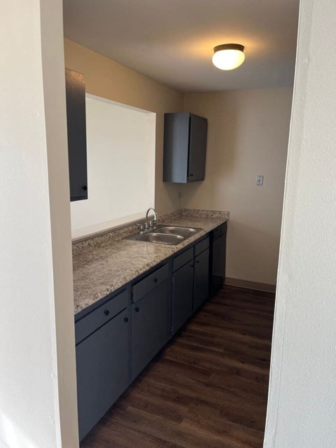 A kitchen with a sink and cabinets.