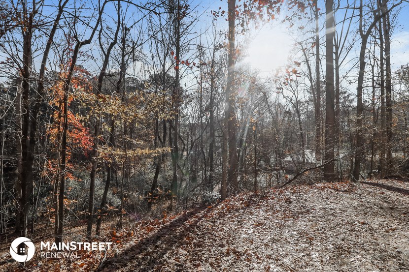 a trail in the woods with the sun shining through the trees