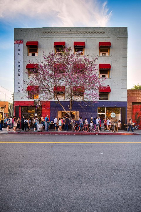 A group of people are standing in front of a building with a tree in front of it.