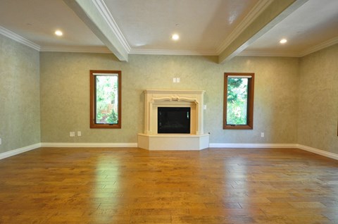 A spacious living room with a fireplace and two windows.