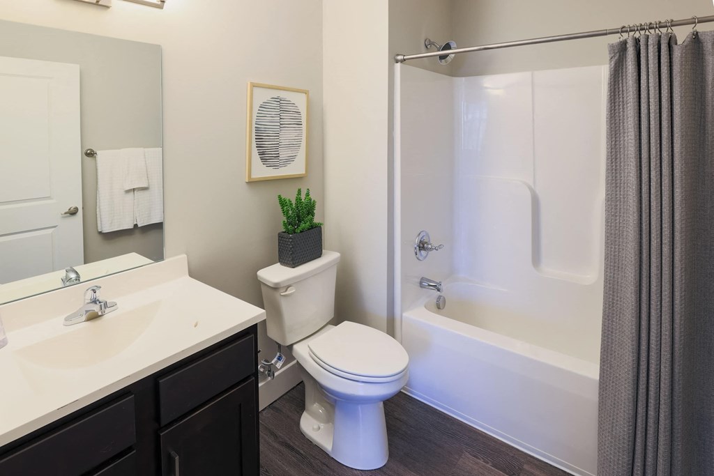 a bathroom with a shower and a toilet and a sink