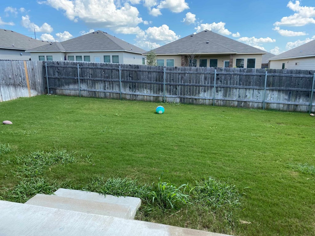 a backyard with a ball in the grass