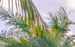 Emera Port Royale | Apartments in Fort Lauderdale, FL